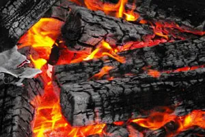 Firewood For sale in Colorado