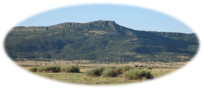 Ranch In Southern Colorado